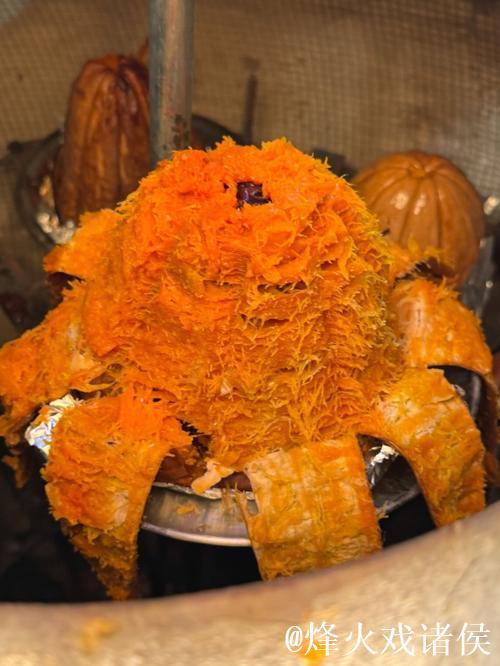 探索黑瓜吃料网的独特美食魅力